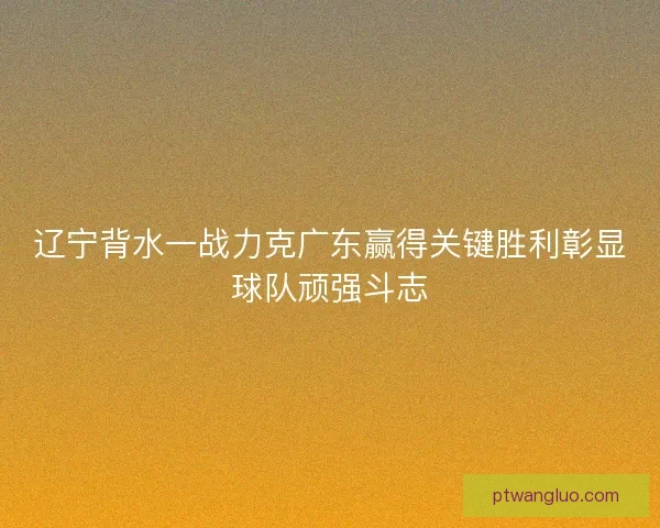 辽宁背水一战力克广东赢得关键胜利彰显球队顽强斗志